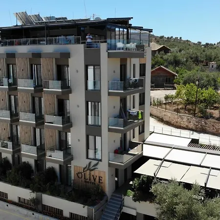 Olive 4*