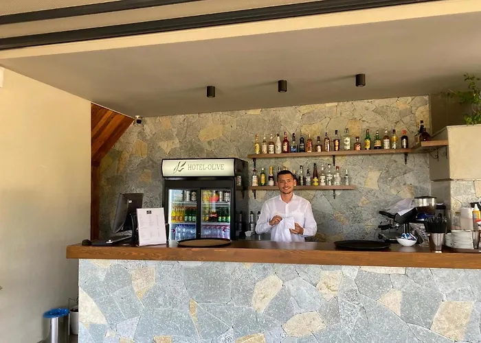 Hotel Olive 4*
